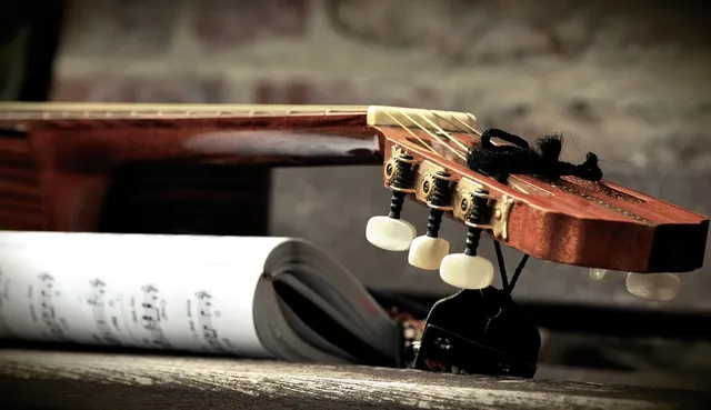36 Inch Guitar Bag with 5mm Padding