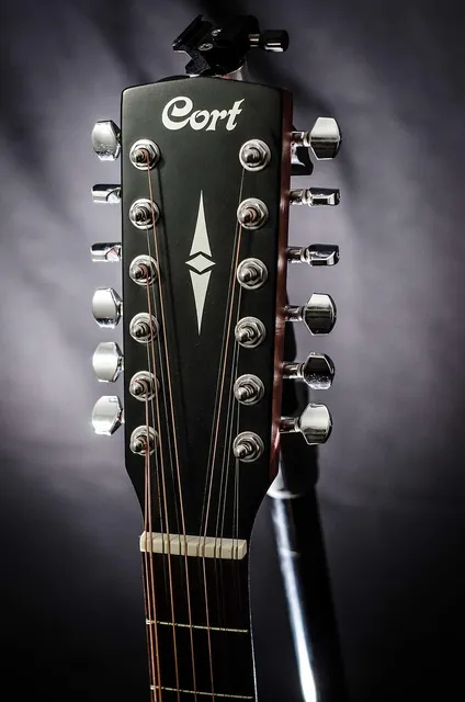 Acoustic Guitar