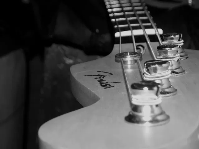 4 String Bass Guitar Kits