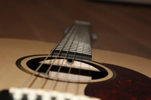 Acoustic Guitar Ebony Bridge Pin