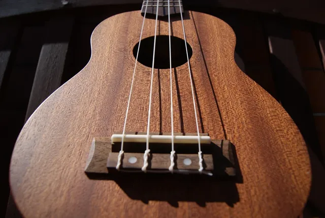 Ukulele Pickup