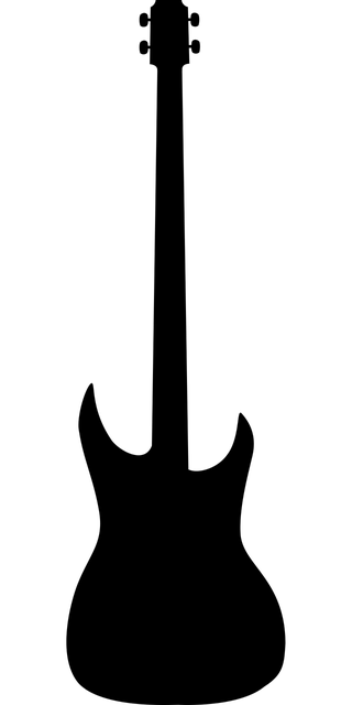 DF301 Electric Guitar