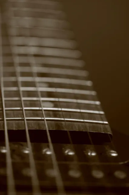 Guitar form Case