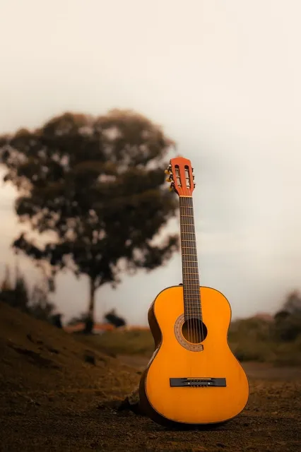 Acoustic Guitar