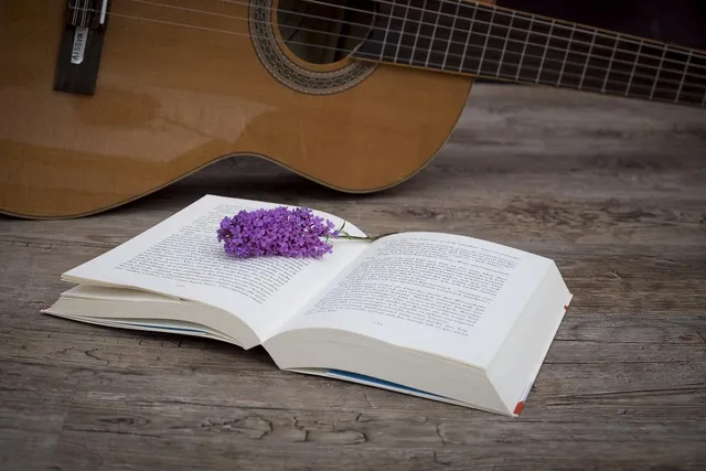 Acoustic Guitar