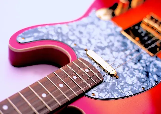 Plastic Black Personalized Guitar Pickguards
