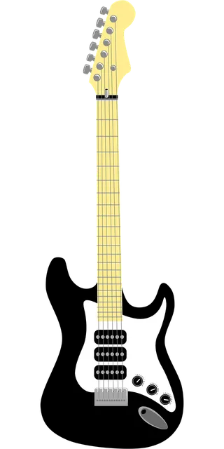 DF306 Electric Guitar