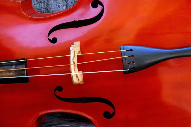 Ukulele Single String