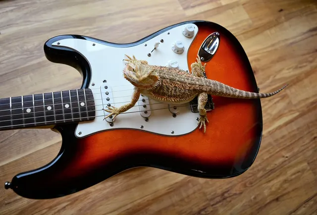 China Guitar