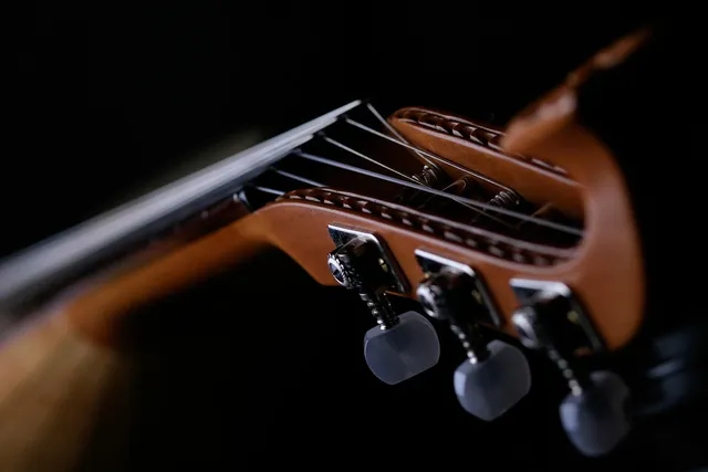 Guitar Hanger with Self-motion Lock