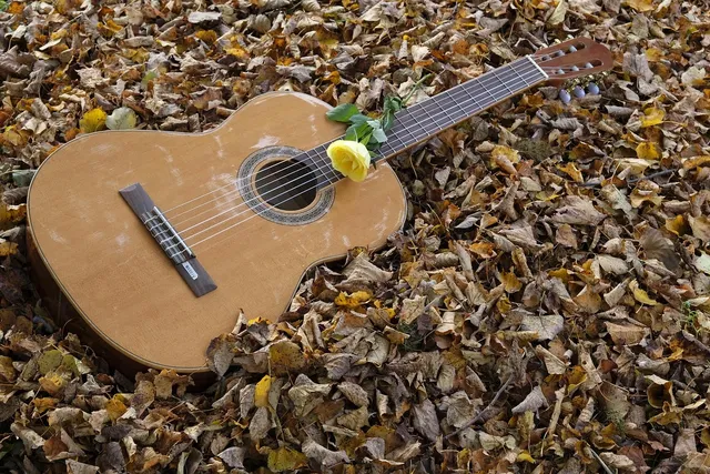 Acoustic Guitar