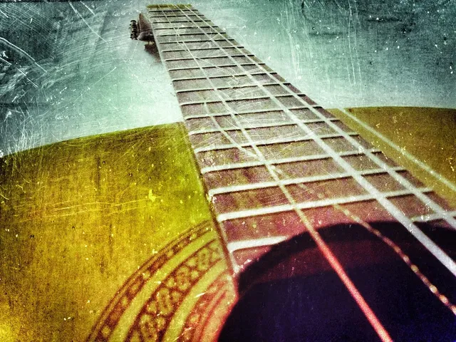 Guitar form Case