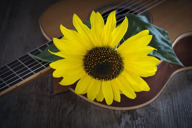 HMGAJ12CE Acoustic Guitar