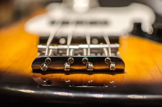 DF331F Electric Guitar