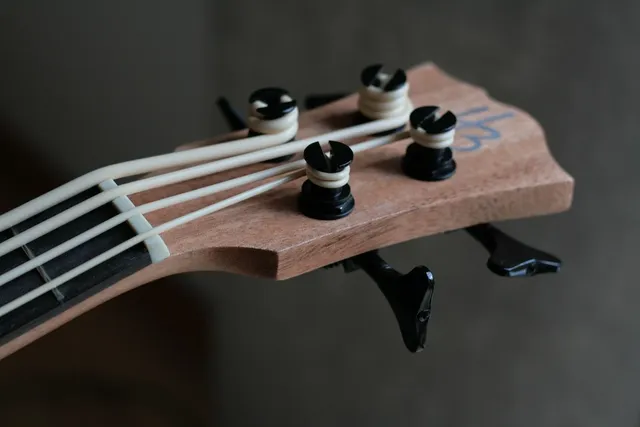 Bass Amplifier