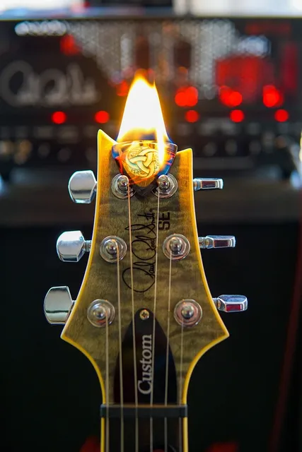 Guitar Kits