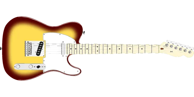Electric Guitar Bag with 10mm Padding