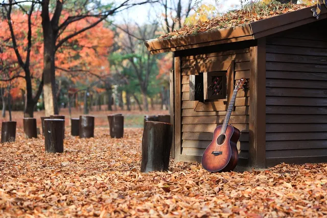 Acoustic Guitar Humidifier