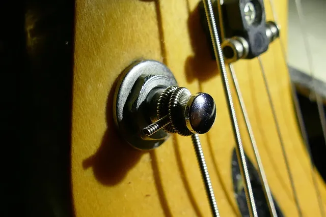 DF411 4 String Electric Bass