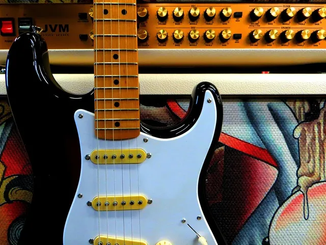 Half Transparent Pickguard