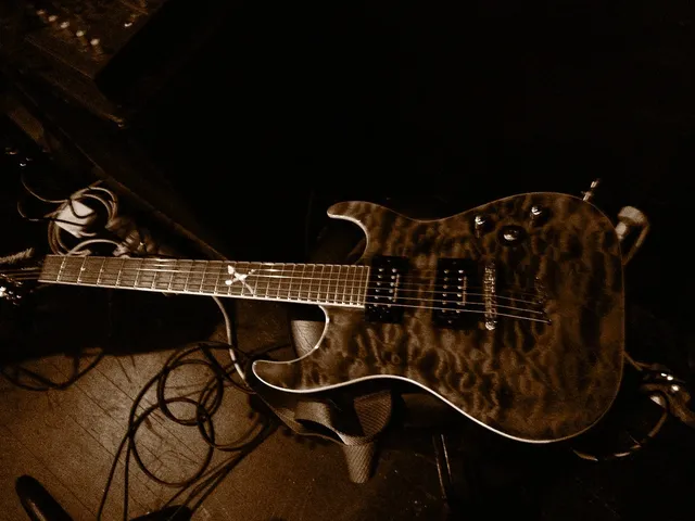 12 String Electric Bass Guitar