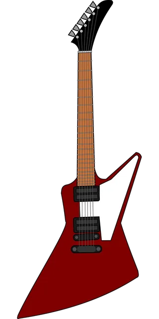 Electric Guitar Bag with 10mm Padding