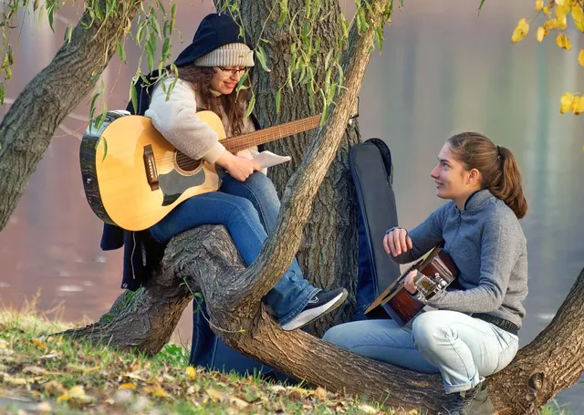 A Shape Guitar Stand