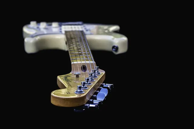 Plastic Black Guitar Pickguards