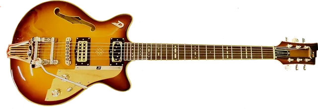 Electric Guitar