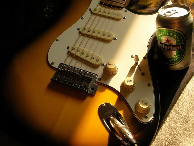 DF202 Electric Guitar