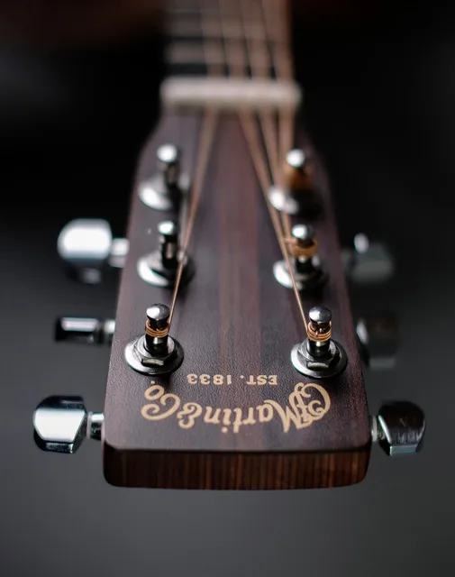 Dacron Guitar Strap