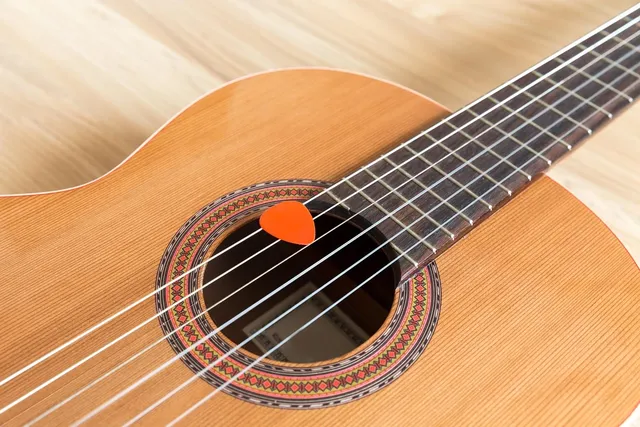Acoustic Guitar Ebony Bridge Pin