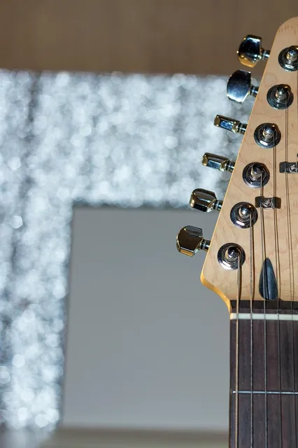 DF204 Electric Guitar