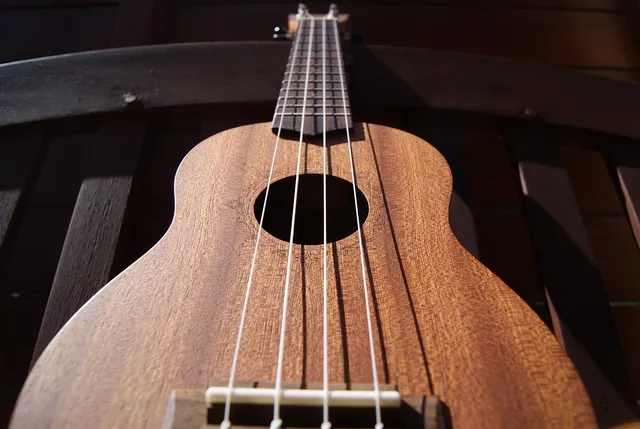 Ukulele Pickup