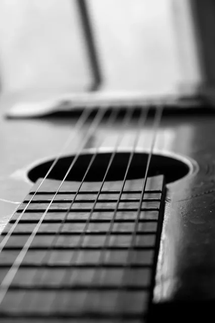 Acoustic Guitar