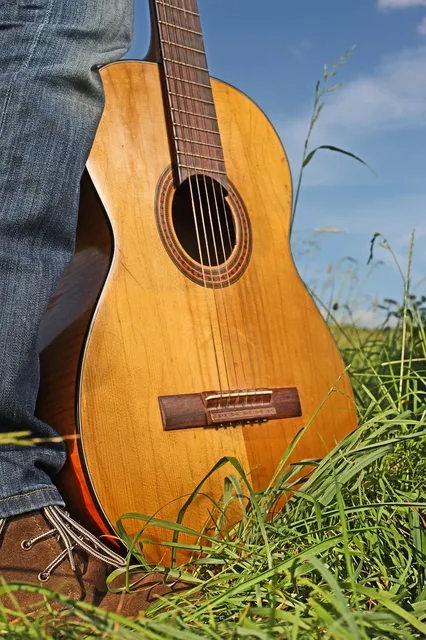 Classical Guitar String