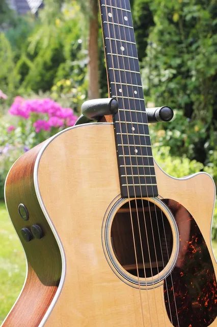 Acoustic Guitar