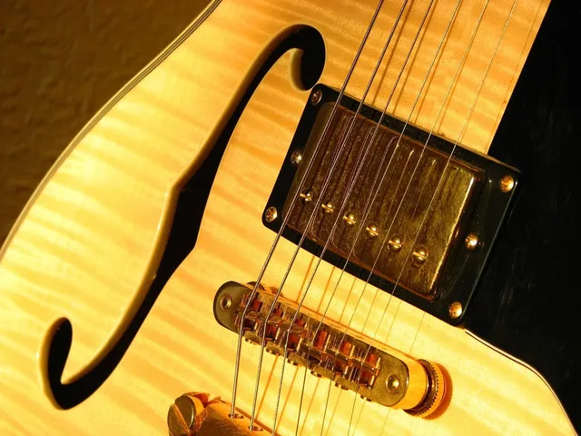 DF303N Electric Guitar