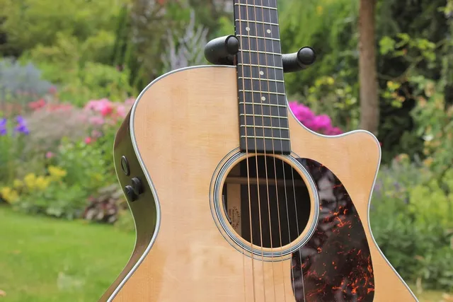 Acoustic Guitar