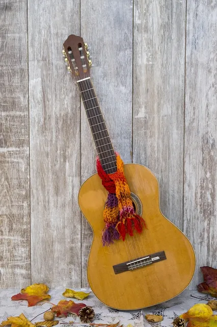 Acoustic Guitar