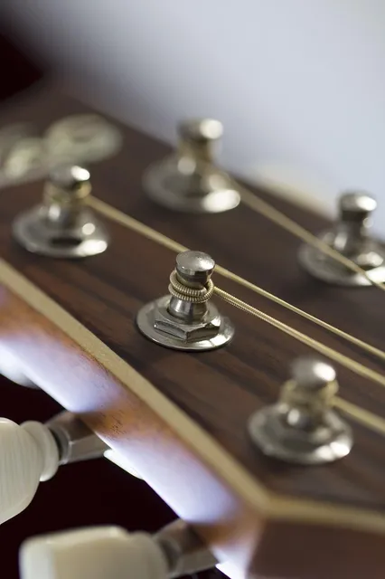 Acoustic Guitar