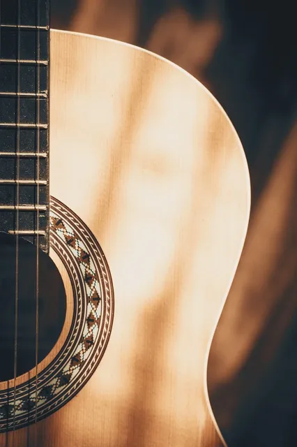 41 Inch 5mm Acoustic Bag