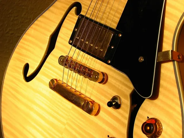 DF302X Electric Guitar