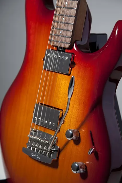 Electric Guitar Kits